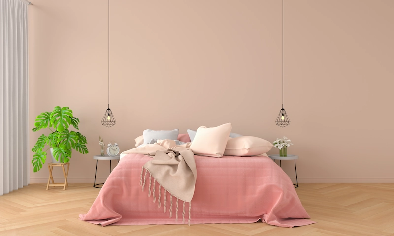 Warna Cat Kamar Aesthetic Soft Pink Ala Korea