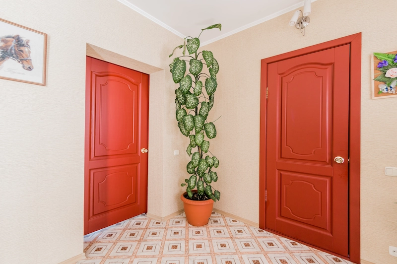 Warna Merah dan Krem