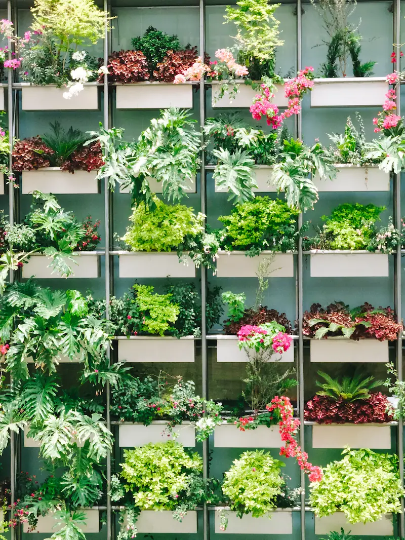 Taman Vertikal